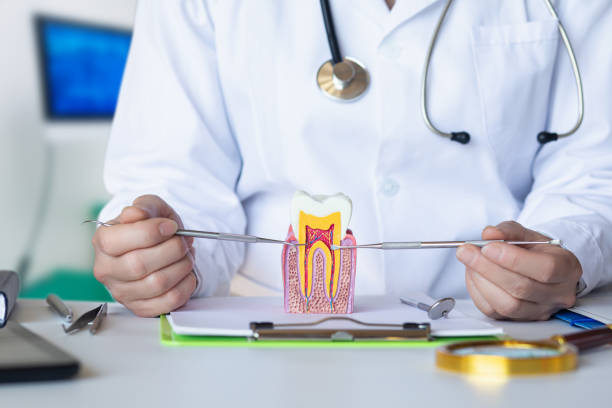 Best Tooth Infection Emergency Dentist  in Jacksonvle, IL